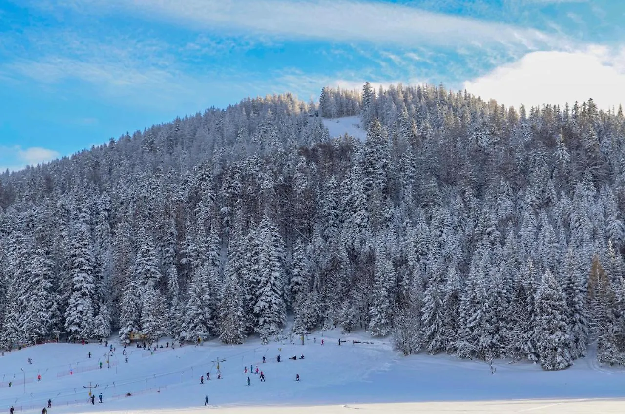 Villa Nosal - Zakopane