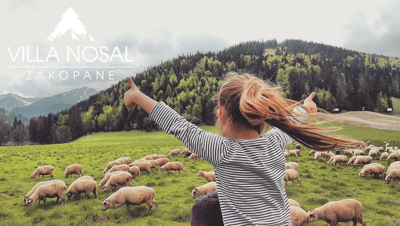 Bed & Breakfast Villa Nosal - Zakopane