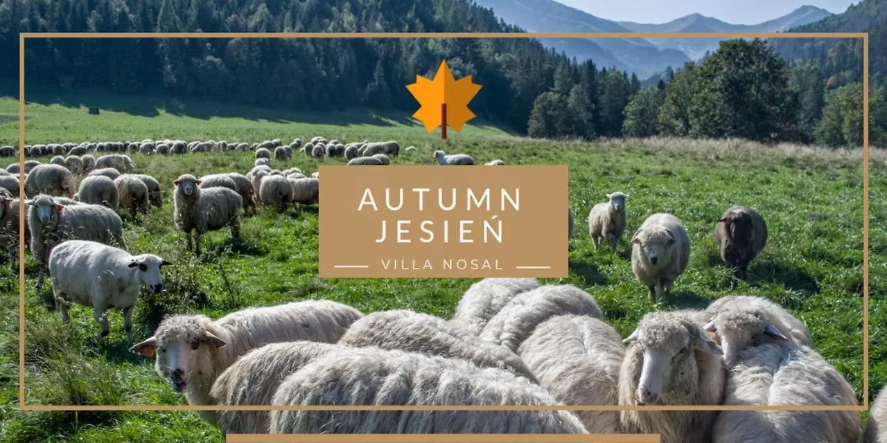 Villa Nosal - Zakopane Bed & Breakfast